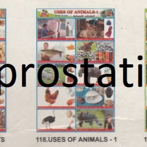 116.Usage of Water ,117.Usage of Plants ,118.Uses of Animals-1 ,119.Uses of Animals-2 ,120.Working Animals
