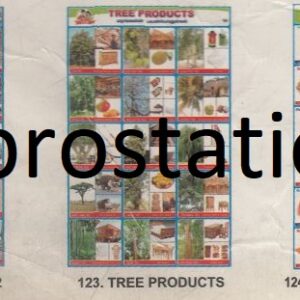 121.Public Places-1 ,122.Public Places-2 ,123.Tree Products ,124.Edible parts of a Plant ,125.Pollution
