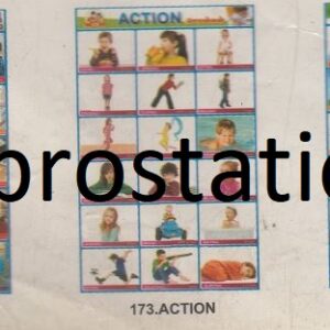 171.Safety Rules ,172.Bad Habits, 173.Action , 174.Action Words ,175.Emotions