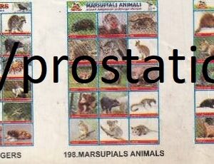 196.Sounds Of Animals ,197.Scavengers ,198.Marsupials Animals ,199.Rodents ,200.Wild Cats