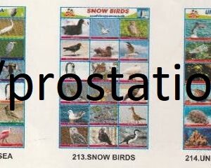 211.Water Birds ,212.Birds at Sea ,213.Snow Birds ,214.Underwater Life ,215.Sea Creatures