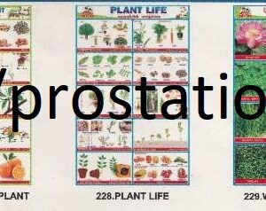 226.Spreading Of Seeds ,227.Parts of a Plants ,228.Plants Life ,229.Water Plants ,230.Trees-2
