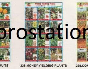 236.Cereals & Pulses ,237.Leaves & Fruits ,238.Money Yielding Plants ,239.Commercial Crops ,240.Herbs