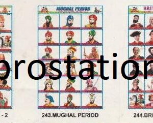 241.Shrubs ,242.Indian Kings-2 ,243.Mughal Period ,244.British Period ,245.Life History of Gandhiji