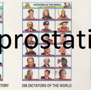 256.Travellers &Explorers ,257.People who Influenced History ,258.Dictators Of The world ,259.Authors of India ,260.Poets of India