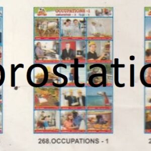 266.Mount Everest ,267.Social servents ,268.Occupation-1 ,269.Occupation-2 ,270.Craft Men