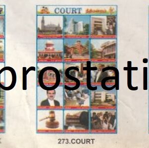 271.Types Of Work ,272.Women at Works ,273.Court ,274.Railway station ,275.Our Bank