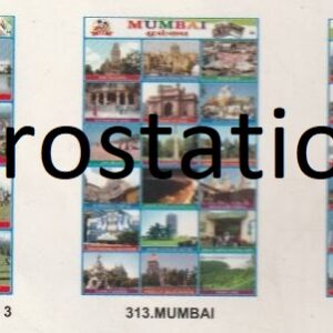 311.State capitals-2 ,312.State capitals-3 ,313.Mumbai ,314.Hyderabad ,315.Bangaluru