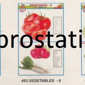 491.Vegetables-4 ,492.Vegetables-5 ,493.Vegetables -6,494.Vegetables-7, 495.Vegetables-8