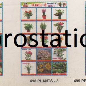 496.Computer-2 ,497.Plants-2 ,498. Plants-3 ,499.Perennial & Biennial Plants ,500.Photosynthesis