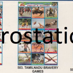 501.Festivals-2 ,502.Exercises ,503.TamilNadu Beravery games ,504.Types of Bone Joints.505.Humans Skeleton