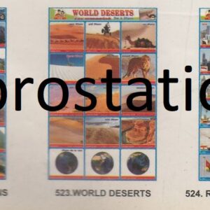 521.World Rivers ,522.World Mountains ,523.World Deserts ,524.Rich & Poor Countries ,525.Building Materials