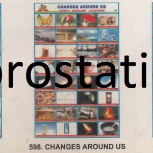 596.Tributary ,597. Windmills ,598.Changes Around Us ,599.Brain , 600.Types of Farms