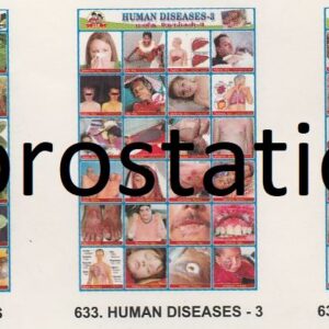 631.Types of Phones ,632.Plants Diseases , 633.Human Diseases ,634.Egg Laying Animals ,635.Pronouns