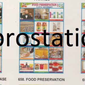656. நாடக கலைஞர்கள் & எழுத்தாளர்கள் ,657.Mosquito Borne Disease ,658.Food Preservation ,659.Types of Toilets ,660.Utensils