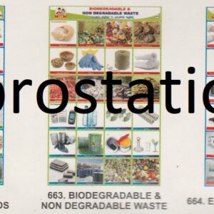 661.Fast food ,662.Pershable & Non-Perishable Foods ,663.Biodegradable & Non-Bio Degradable Waste ,664.Electrical Energy saving ,665.Groove ,Farm & Feild