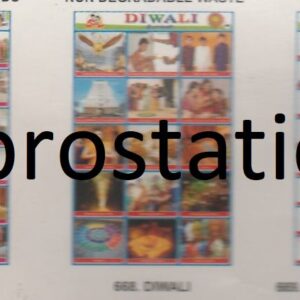 666.Fire Rescue Services ,667.Museum ,668.Diwali ,669.Governors of States ,670.Handicapped