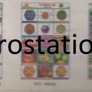 671.Romabn Numeral & 672.Mathematical Symbols ,673.Virus , 674.Algae ,675.Lichens