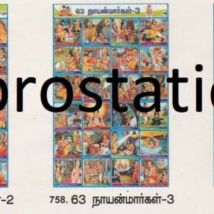 756. 63 நாயன்மார்கள்-1 ,757. 63 நாயன்மார்கள்-2 ,758. 63 நாயன்மார்கள்-3 ,759.Tsunami-2004 ,760.Uses of Flowers