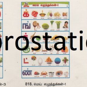 816.தமிழ் உயிர் எழுத்துகள்-2 ,817.தமிழ் உயிர் எழுத்துகள்-3 ,818.மெய் எழுத்துகள்-1 ,819.மெய் எழுத்துகள்-2 ,820.மெய் எழுத்துகள்-3