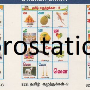 826.தமிழ் எழுத்துகள்-7 ,827.தமிழ் எழுத்துகள்-8 ,828.தமிழ் எழுத்துகள்-9 ,829.தமிழ் எழுத்துகள்-10 ,830.தமிழ் எழுத்துகள்-11