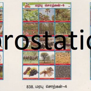 836.மரபு சொற்கள்-2 ,837.மரபு சொற்கள்-3 ,838.மரபு சொற்கள்-4 ,839.மரபு சொற்கள்-5 ,840.இரட்டைக்கிளவி-1