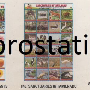 846.Orgin of Some Plants ,847.Dicot & Monocot Plants ,848.Sanctuaries in TamilNadu ,849.Nutrients & Deficiency Diseases ,850.Leaders Framing  Constitution