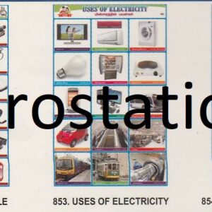 851.Miruthanga Vithvangal ,852.Parts of a Bicycle ,853.Uses of Electricity ,854.Measuring Instruments ,855.Fungi Affected Food