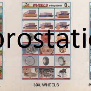 896.Apiculture ,897.Importance of Soil , 898. Wheels, 899.Cyclone Recent years ,900.Pygmies of Africa & Jaravas of Andaman