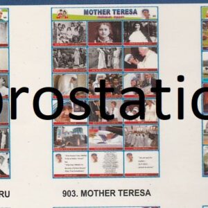 901.Importance of Women Education ,902.Jawaharlal Nehru ,903.Mother Teresa ,904.Yercaud ,905.Parks