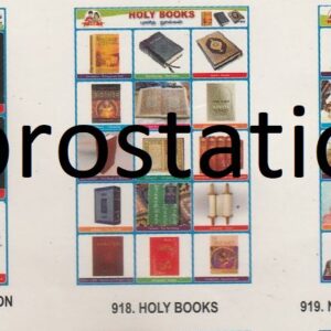 916.Ancient Mesopotamian Civilization , 917.Rotation & Revolution of Earth ,918.Holy Books ,919.North Indian (Rajput) Kings ,920.குறில் & நெடில்