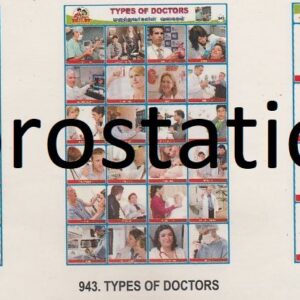 941.Emblems of Countries ,942.Technisian ,943.types of Doctors ,944.Types of Monitor ,945.Types of Printers