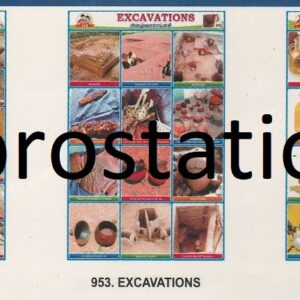 951.Polination ,952.Archaeology ,953.Excavations ,954.Types of Oils ,955.Pyramids