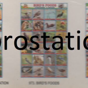 971.Mountains of TamilNadu ,972.Soil Erosion & Conservation ,973.Birds's Foods ,974.famous in Places ,975.Big & Small