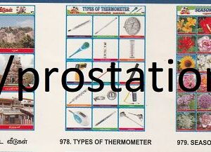 976.Active Voice & Passive Voice ,977.அறுபடை வீடுகள் , 978.Types of Thermometer  ,979.Seasonal Flowers ,980.Food Adulteration