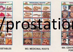 981.Save Environment ,982.Root Vegetables ,983.Medicinal Roots ,984.Central Ministers Portfolios ,985.TamilNadu Ministers Portfolios