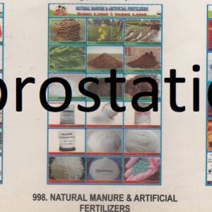 996.Great Painters & Paintings  ,997.Raw Foods ,998.Natural Manure & Artificial Fertilizers ,999.Sources of Heat ,1000.Energy Transformation